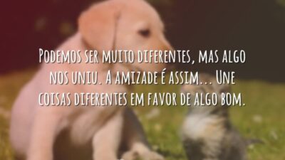 Algo nos uniu