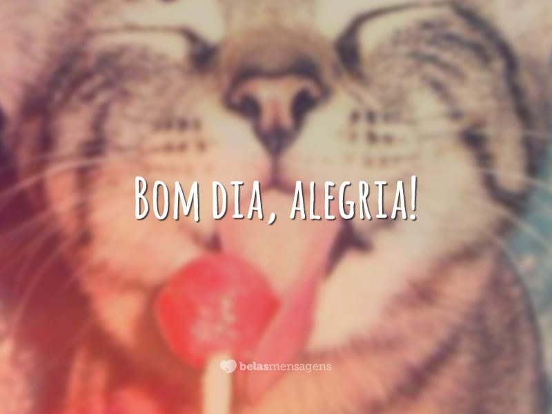 90 frases de bom dia para uma manhã radiante 90 frases de bom dia para uma manhã radiante