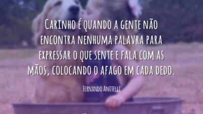 Carinho é