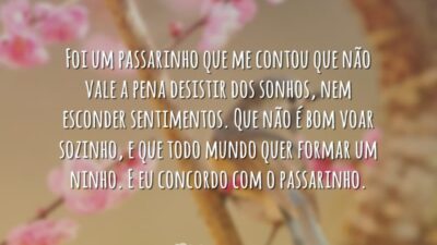 Um passarinho