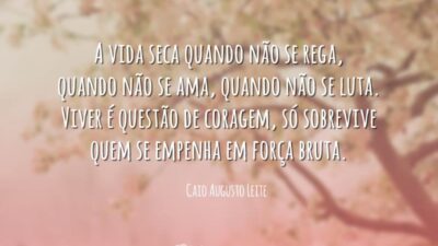 Força bruta