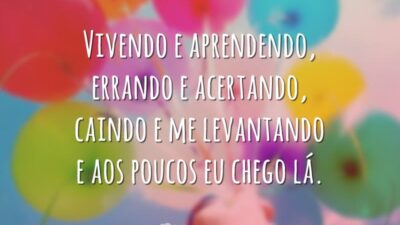 Vivendo e aprendendo