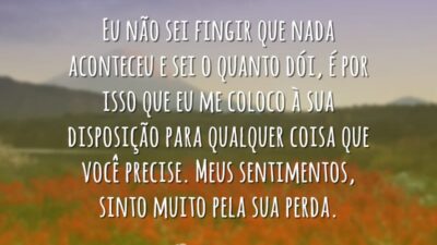 Meus sentimentos