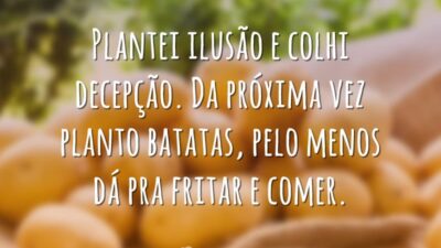 Plantarei batatas