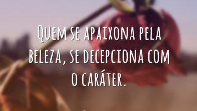 Paixão pela beleza