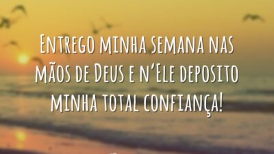 Minha semana