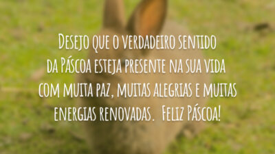 Muita paz, muitas alegrias…