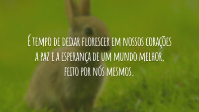 Renascimento e renovação