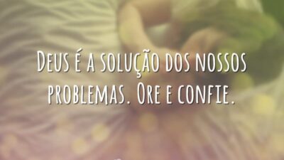 Ore e confie