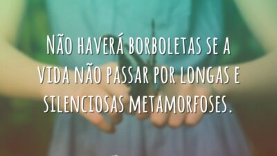 Não haverá borboletas se a vida não passar por longas e silenciosas&hellip;