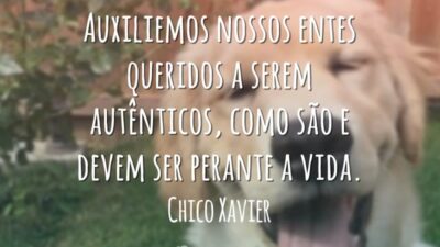 Entes queridos