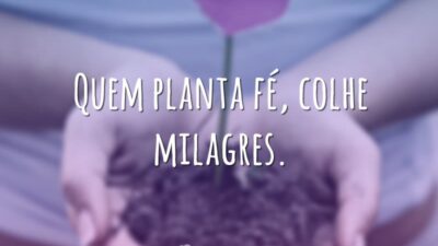 Plante fé