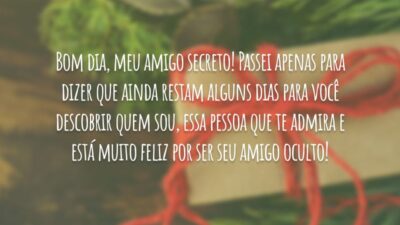 Bom dia, meu amigo secreto! Passei apenas para dizer que ainda restam&hellip;