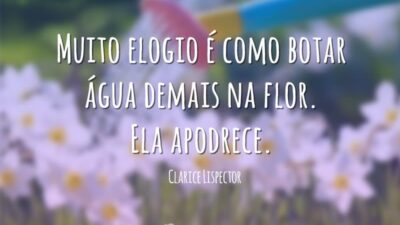 Água na flor