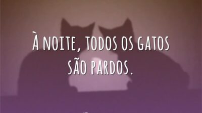 À noite, todos os gatos são pardos.