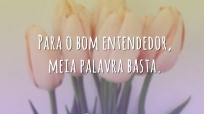 Para o bom entendedor, meia palavra basta.