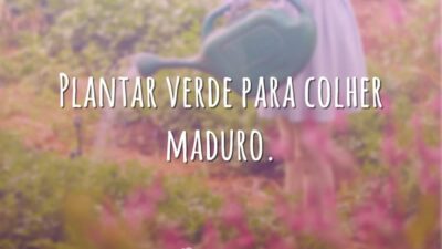 Plantar verde para colher maduro.