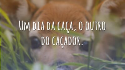 Um dia da caça, o outro do caçador.