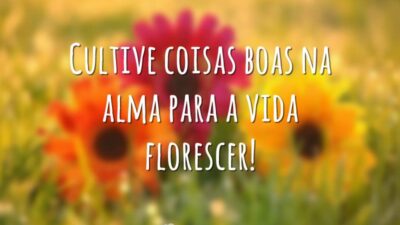 Flores da vida