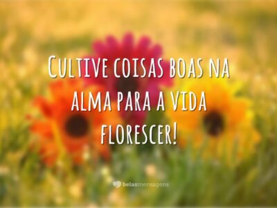 Flores da vida