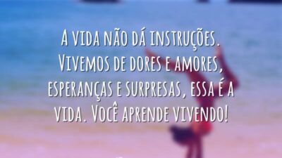 Sem manual de instruções