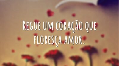 Flores de amor