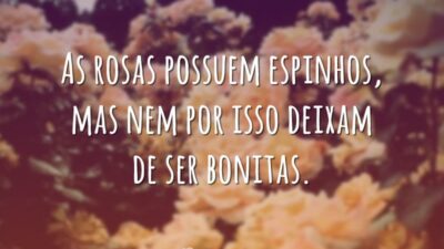 Rosas com espinhos
