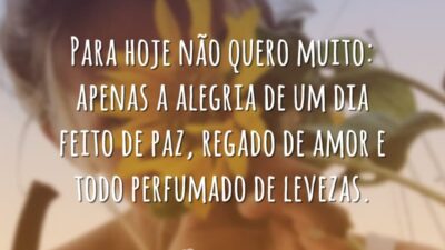 Dia leve
