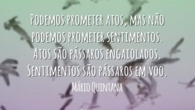 Pássaros em voo