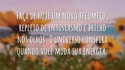 Novo recomeço