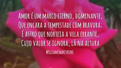 Soneto 116