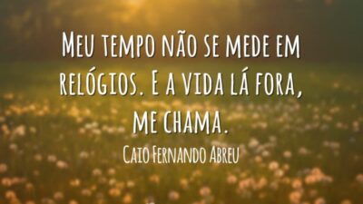 A vida me chama