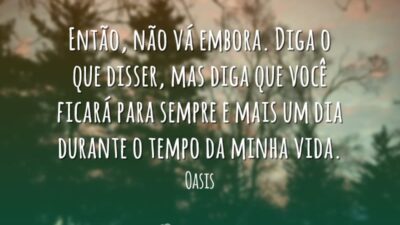 Então, não vá embora. Diga o que disser, mas diga que você&hellip;