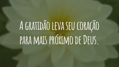 A gratidão leva seu coração para mais próximo de Deus.