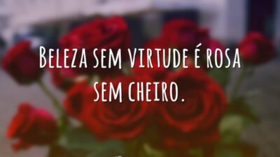 Beleza sem virtude é rosa sem cheiro.