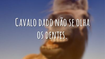 Cavalo dado não se olha os dentes.