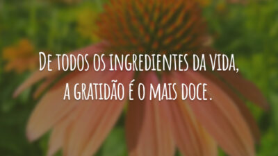 De todos os ingredientes da vida, a gratidão é o mais doce.