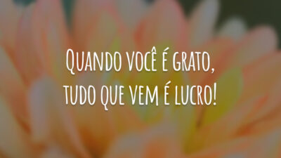 Quando você é grato, tudo que vem é lucro!