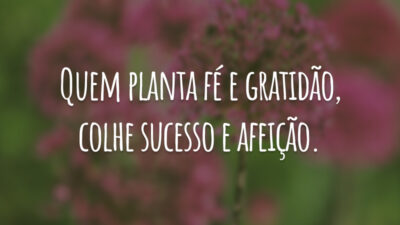 Quem planta fé e gratidão, colhe sucesso e afeição.