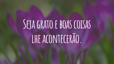 Seja grato e boas coisas lhe acontecerão.