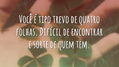 Tipo trevo de quatro folhas