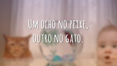 Um olho no peixe, outro no gato.