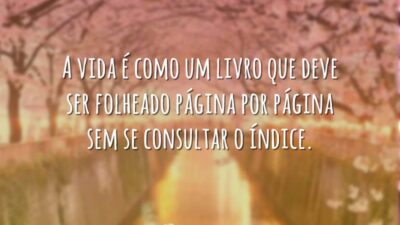 A vida é como um livro que deve ser folheado página por&hellip;