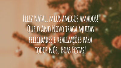 Feliz Natal, meus amigos amados! Que o Ano Novo traga muitas felicidades&hellip;