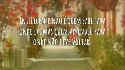 Inteligente não é quem sabe para onde ir, mas quem aprendeu para&hellip;