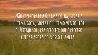 Não espere cair a última folha, secar a última gota, soprar o&hellip;