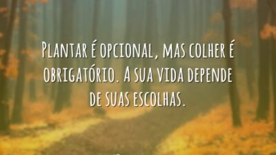 Plantar é opcional, mas colher é obrigatório. A sua vida depende de&hellip;
