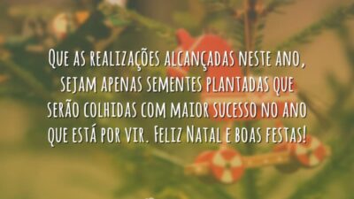Que as realizações alcançadas neste ano, sejam apenas sementes plantadas que serão&hellip;