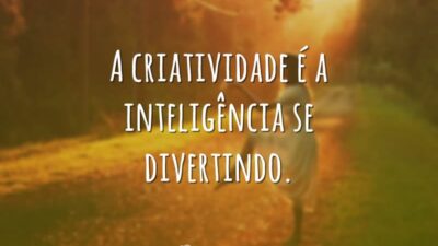 A criatividade é a inteligência se divertindo.