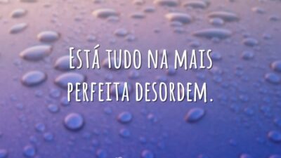 Na mais perfeita desordem